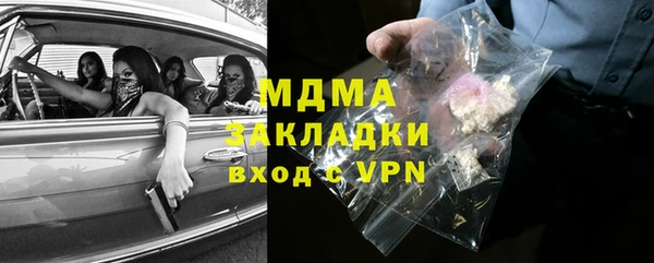 мдпв Ладушкин
