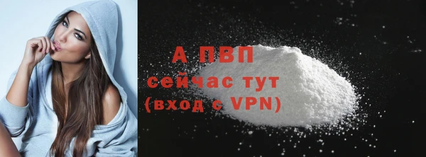 мдпв Ладушкин