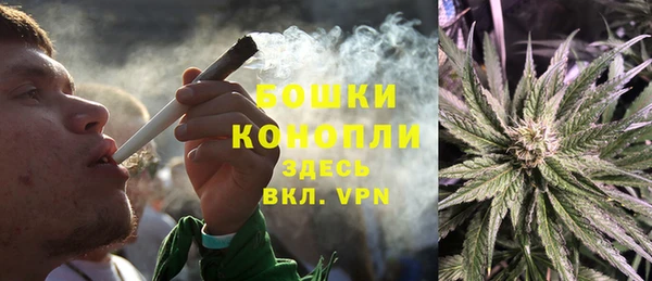 шишки Красноперекопск