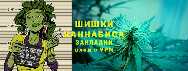 мдпв Ладушкин