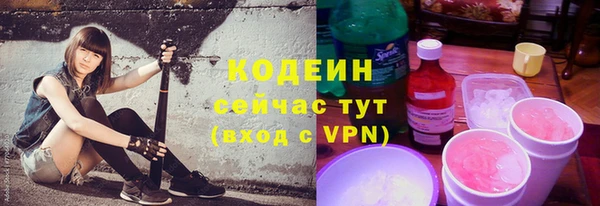 мдпв Ладушкин