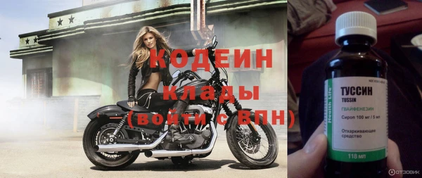 мдпв Ладушкин