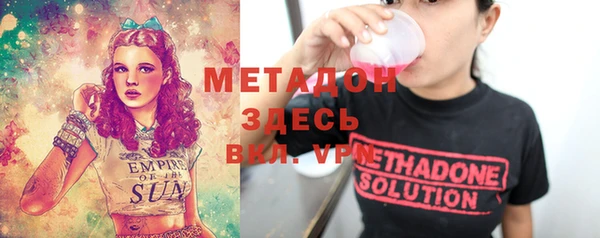 мдпв Ладушкин