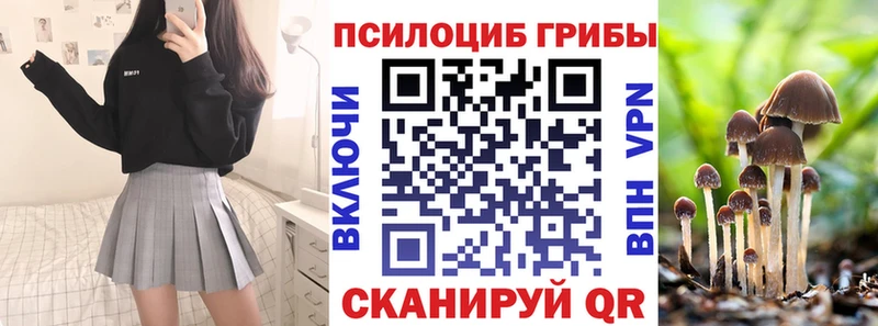 Псилоцибиновые грибы мицелий  хочу   Павловск 